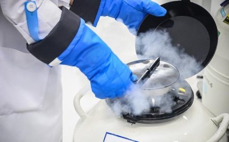 Rising Trend of Egg Freezing: Hyderabad Women Embrace Reproductive Freedom