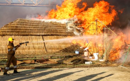 Firefighters at Risk: Study Links Occupational Chemical Exposure to Brain Cancer