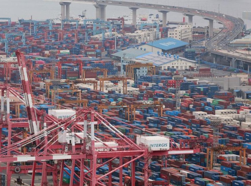 South Korea’s Economic Risks & India’s Growth Trends in 2024