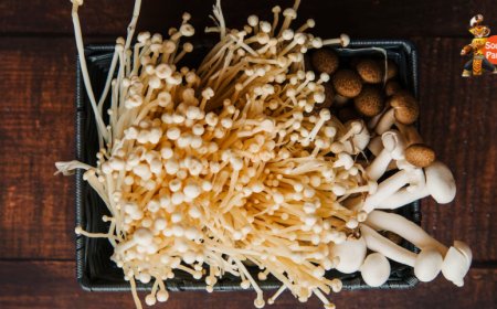 Why Everyone Should Start Growing Mushrooms
