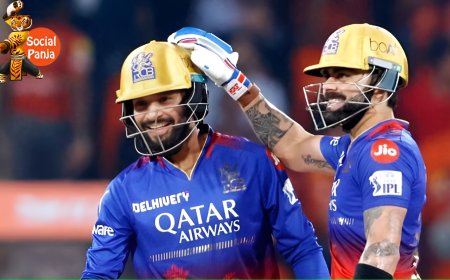 RCB Beat RR by 11 Runs: Hazlewood Stars with 4 Wickets