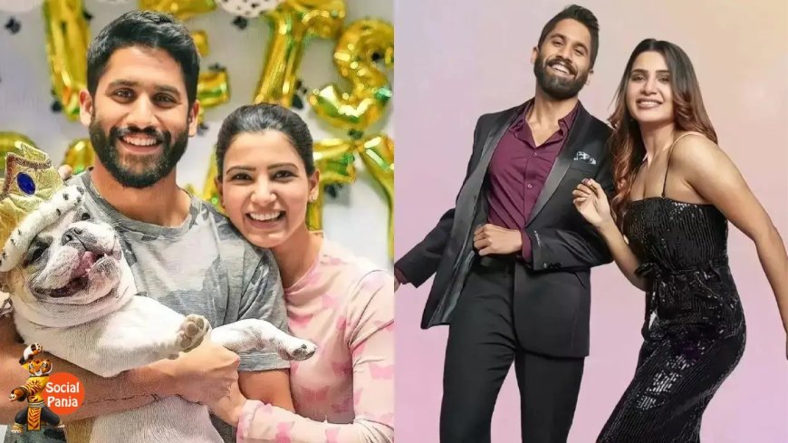 Fans Wonder if Samantha & Naga Chaitanya Co-Parent Pets