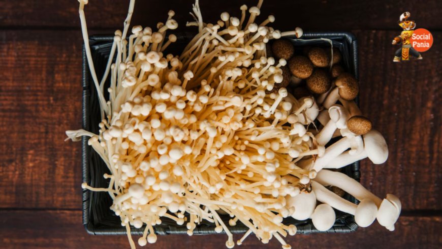 Why Everyone Should Start Growing Mushrooms