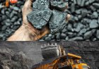 Coal India Q4 Profit Rises 12% on Strong Demand, Cost Cuts