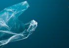 The Plastic Problem: New Alternatives and Breakthroughs in 2025