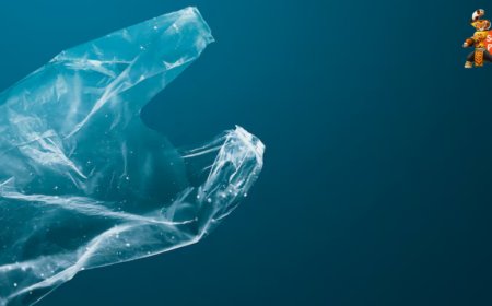 The Plastic Problem: New Alternatives and Breakthroughs in 2025