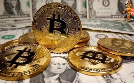 Bitcoin Hits Weekly High of $106,000: 2 Key Reasons Behind the Surge