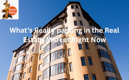 What’s Really passing in the Real Estate Market Right Now