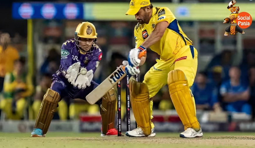 Brevis Fires as CSK Crush KKR’s 2025 Playoff Dreams