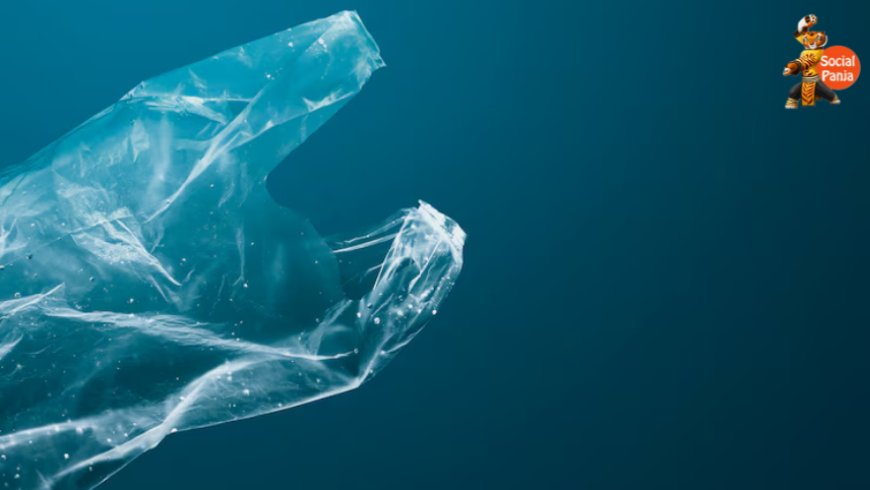 The Plastic Problem: New Alternatives and Breakthroughs in 2025