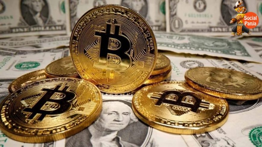Bitcoin Hits Weekly High of $106,000: 2 Key Reasons Behind the Surge